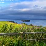 2024-07-24 18.22.04-1