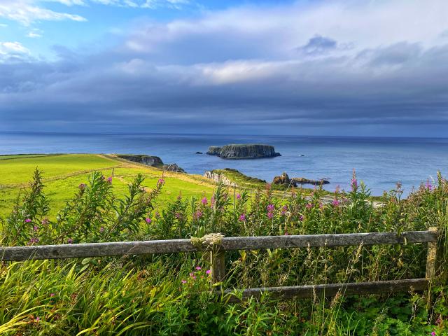 2024-07-24 18.22.04-1