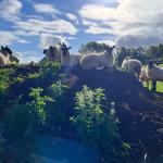 2024-07-26 08.49.28-1