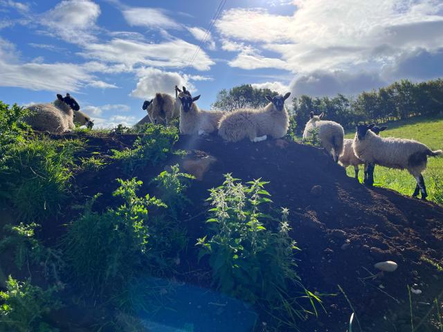 2024-07-26 08.49.28-1