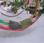Mexico - mister in a hammock