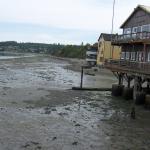 Portland - beach at Whidby Island