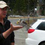 Portland - bird eating from dad's hand
