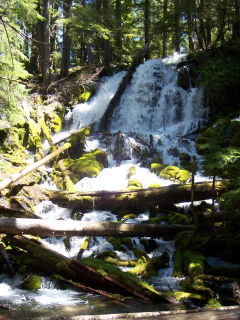 Portland - Clearwater Falls