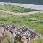 Portland - debris from Mt. Saint Helens eruption