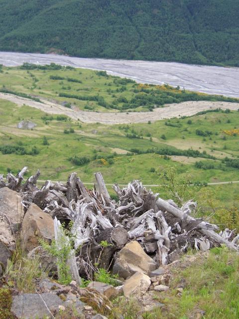 Portland - debris from Mt. Saint Helens eruption