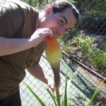 Portland - Jon attempting to nom some plant