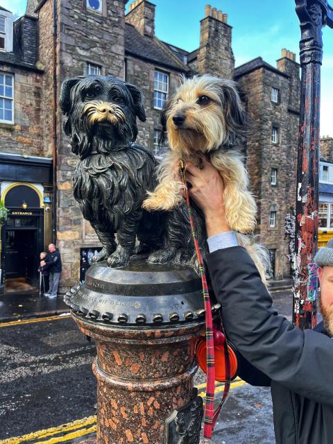 2024-10-20 08.03.40-1