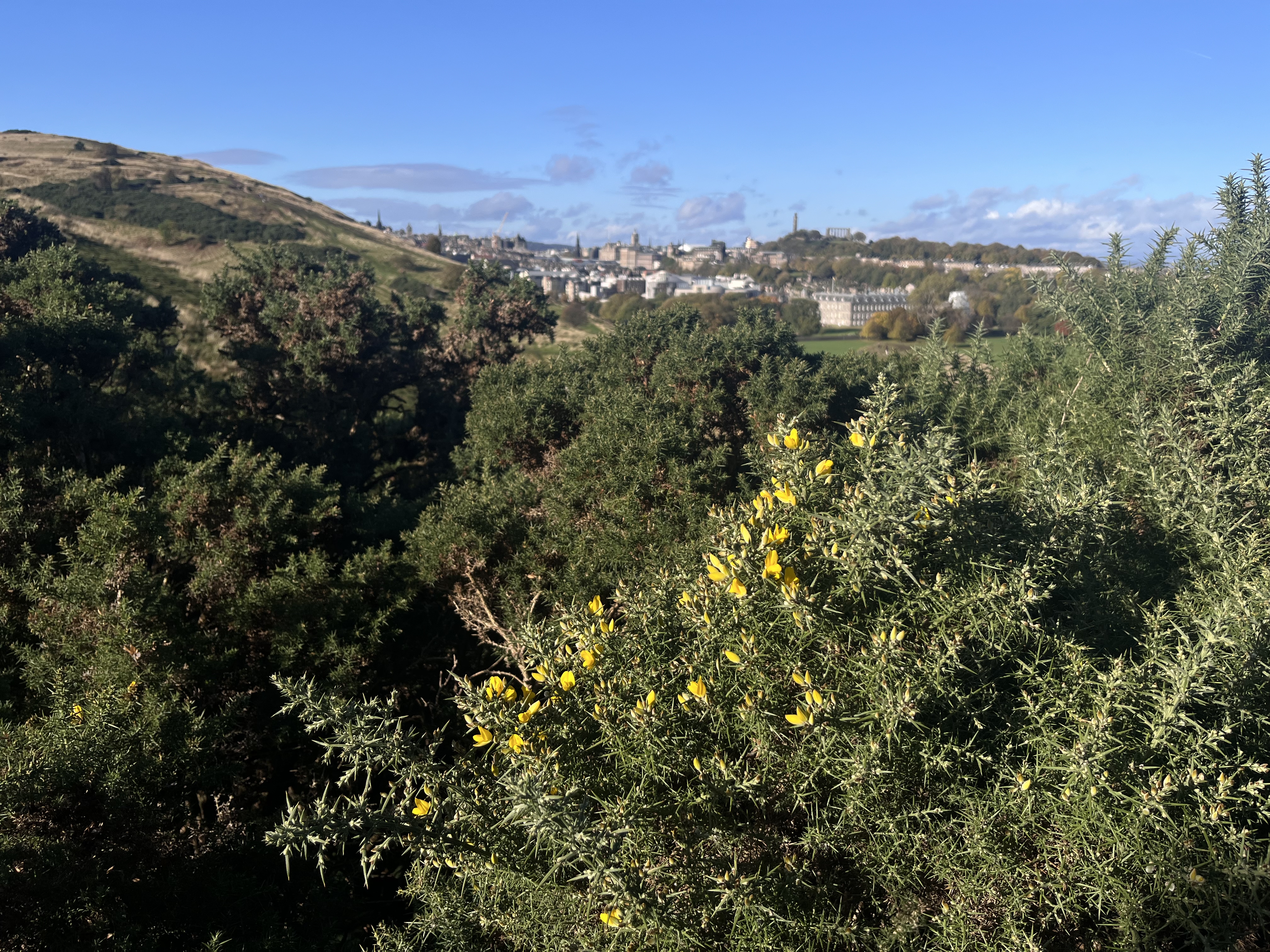 2024-10-17 11.00.11-1