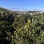 2024-10-17 11.00.11-1