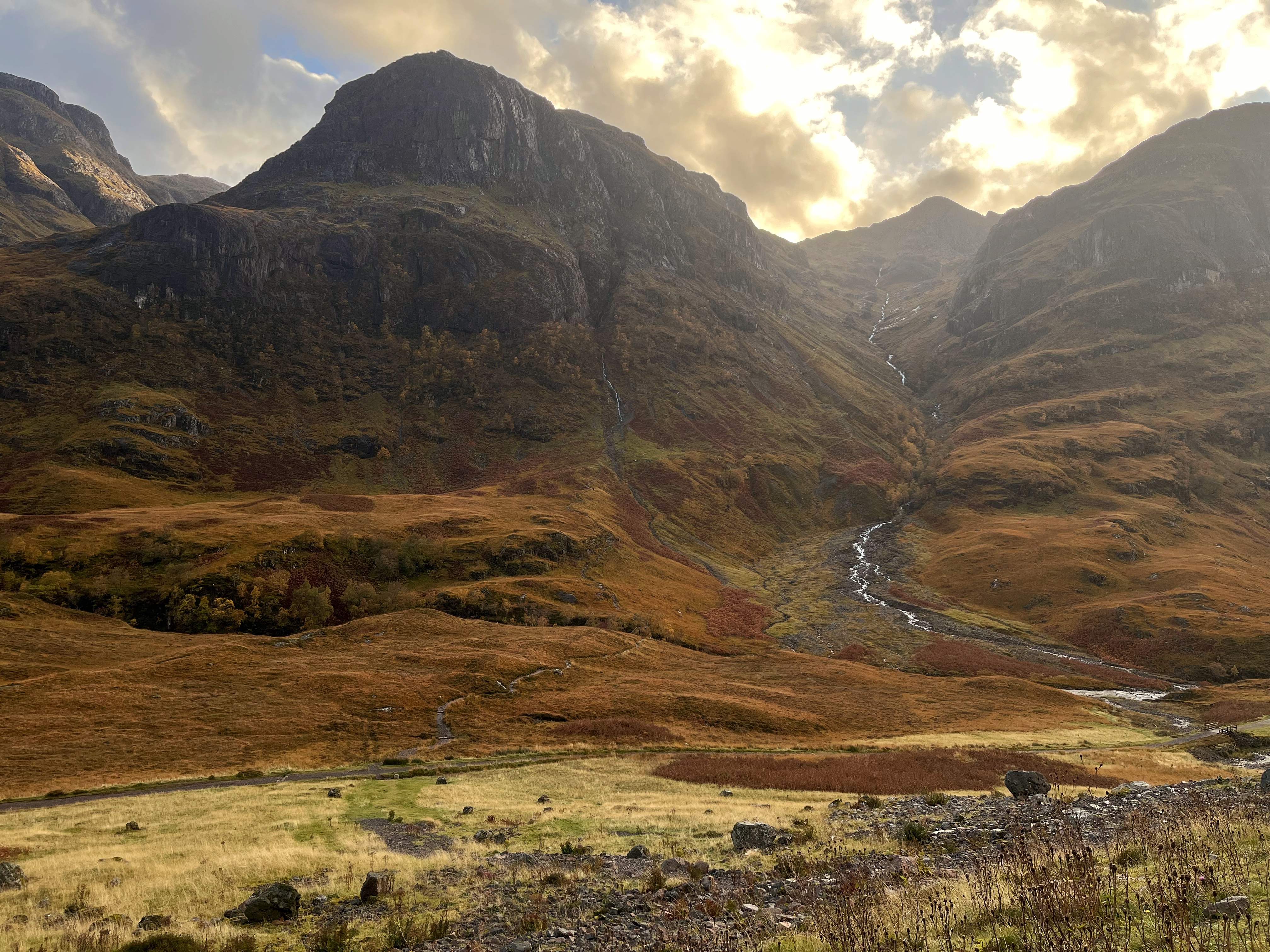 2024-10-19 11.41.37-1