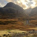 2024-10-19 11.41.37-1