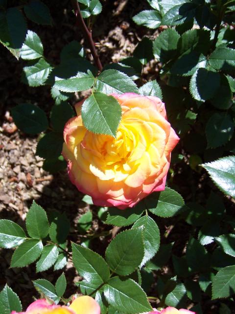 Portland - one of my favorites