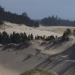 Portland - Oregon sand dunes