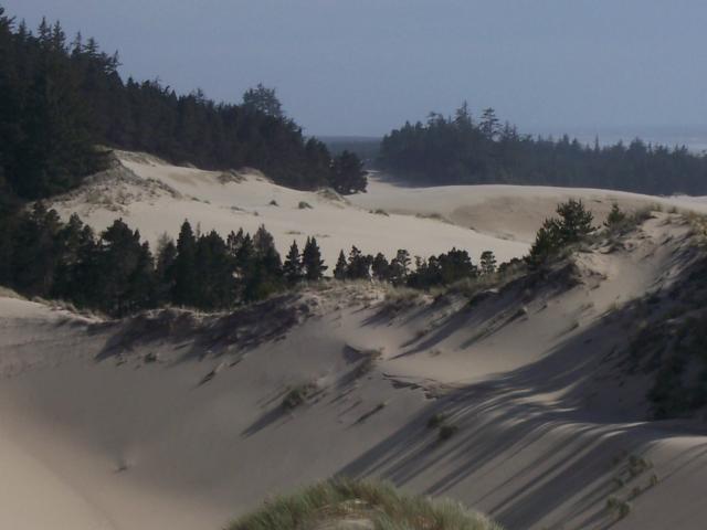 Portland - Oregon sand dunes