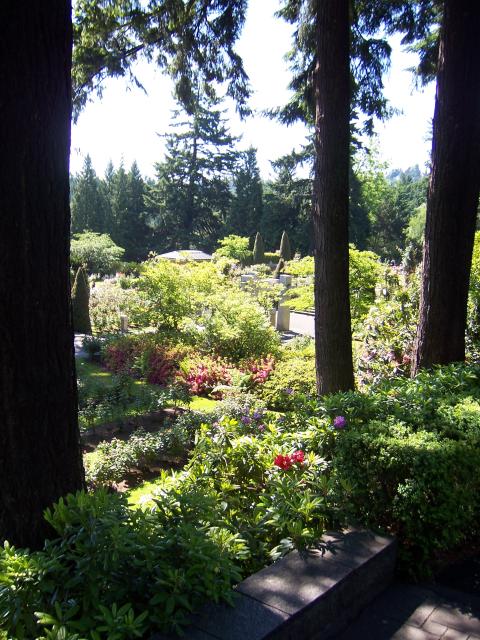 Portland - Portland rose gardens