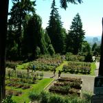 Portland - rose gardens
