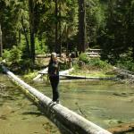 Portland - Sam on log above waterfall