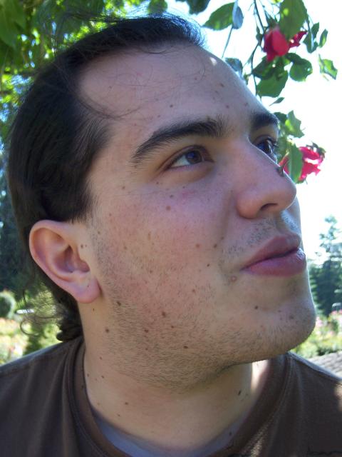 Portland - thorn nose