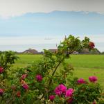 Portland - view from lavendar farm