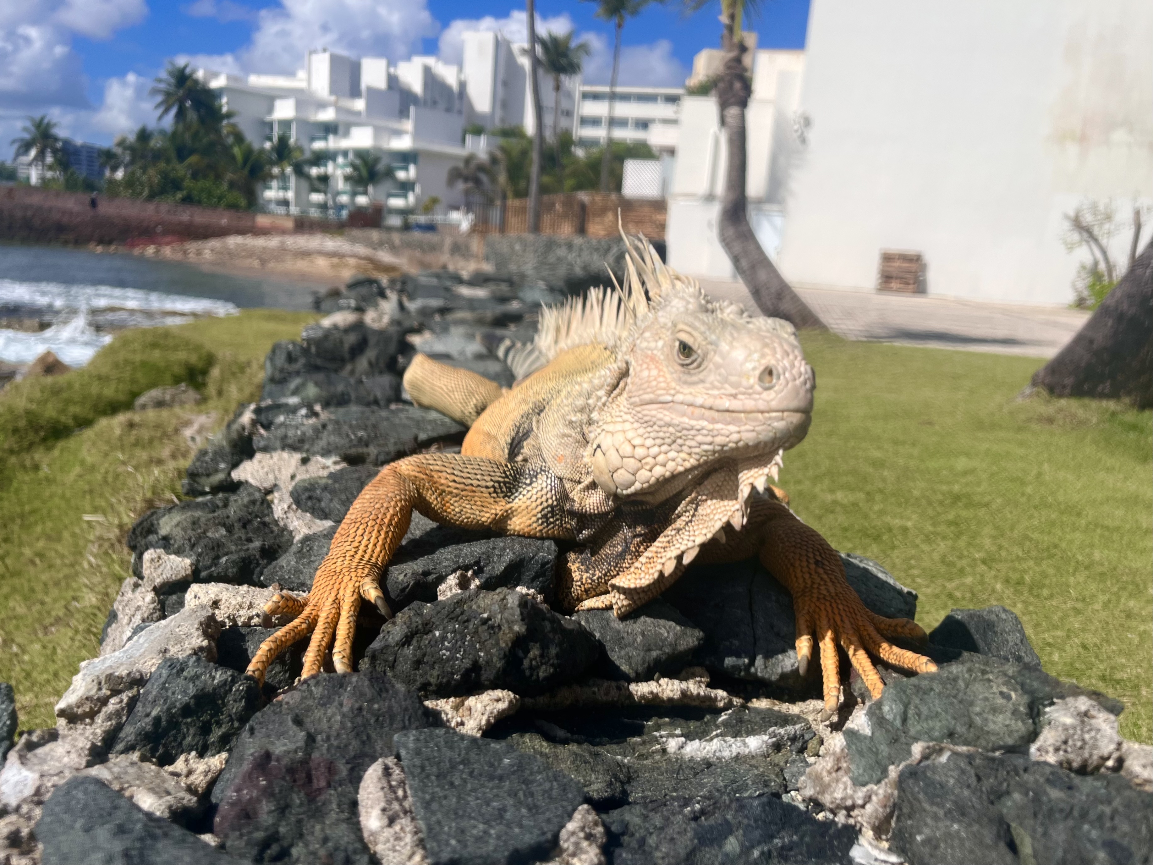 2025-04-22 09.13.41-1