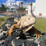 2025-04-22 09.13.41-1