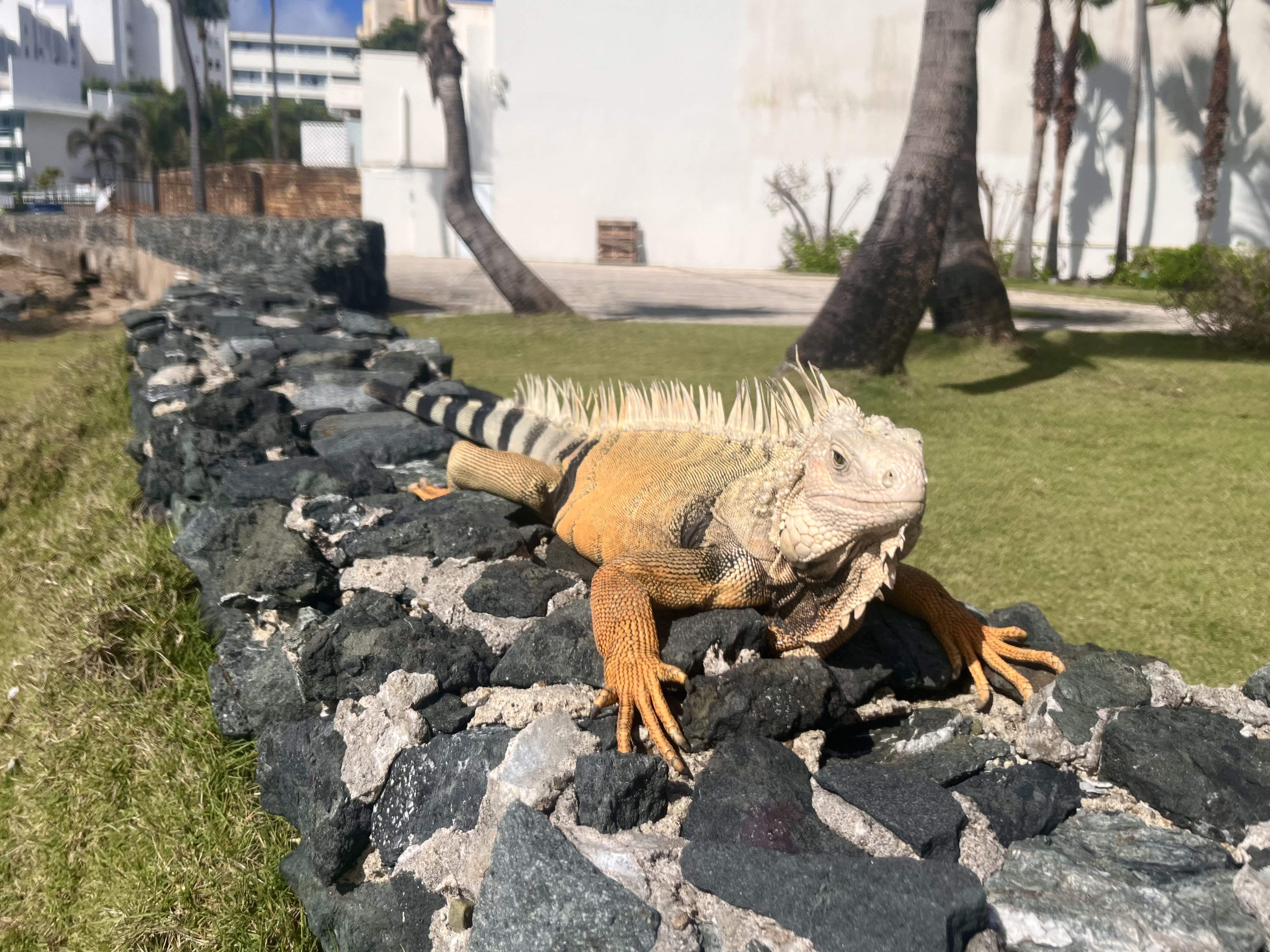 2025-04-22 09.14.15-1