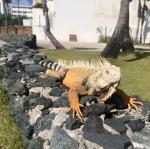 2025-04-22 09.14.15-1