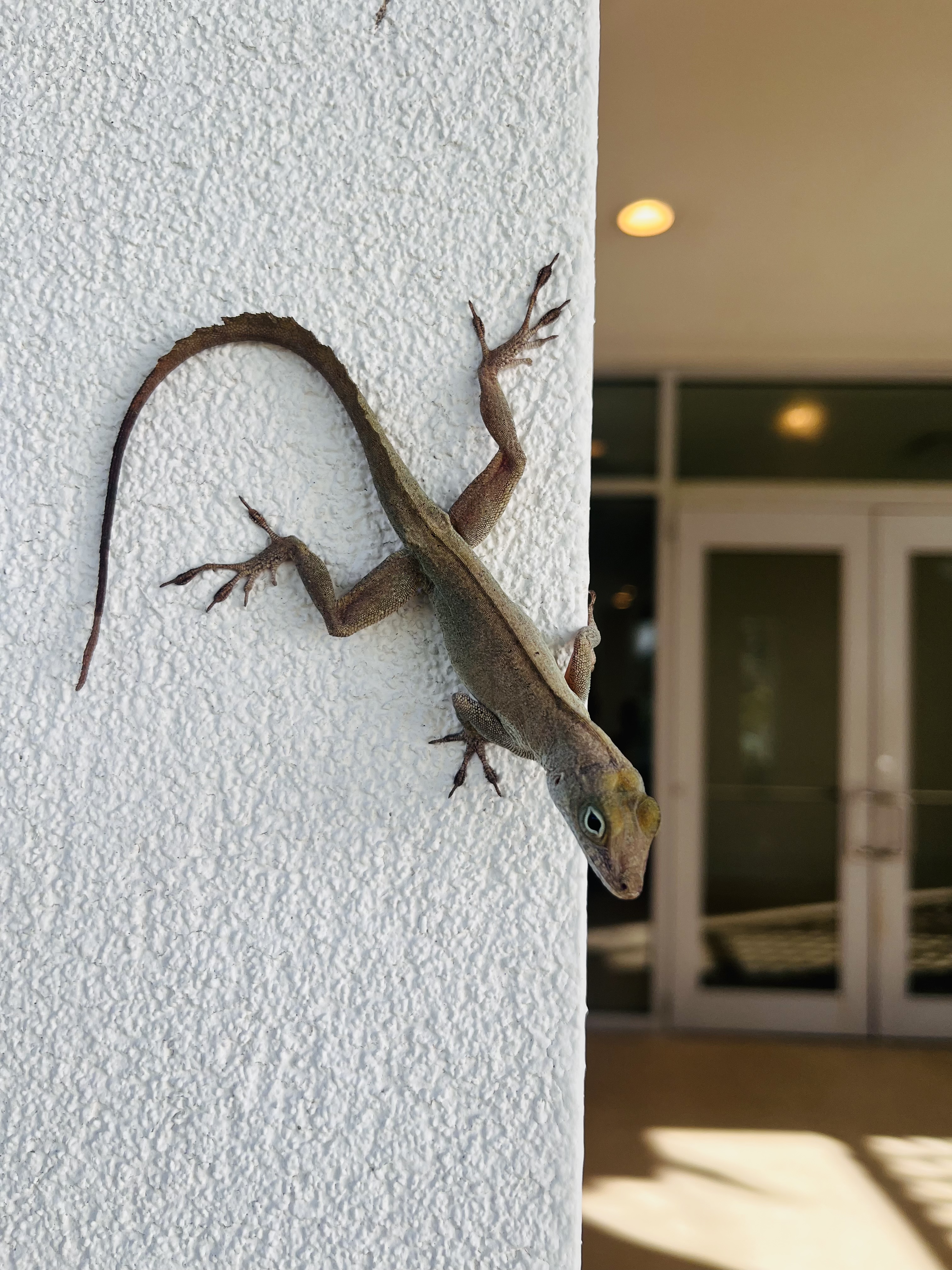 2025-04-23 08.00.28-1