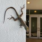 2025-04-23 08.00.28-1