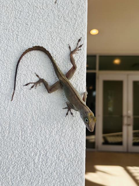 2025-04-23 08.00.28-1