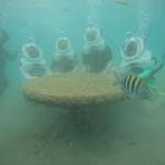 PHOTO-2025-04-22-06-09-55 (15)