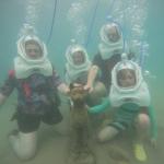 PHOTO-2025-04-22-06-09-55 (18) (1)