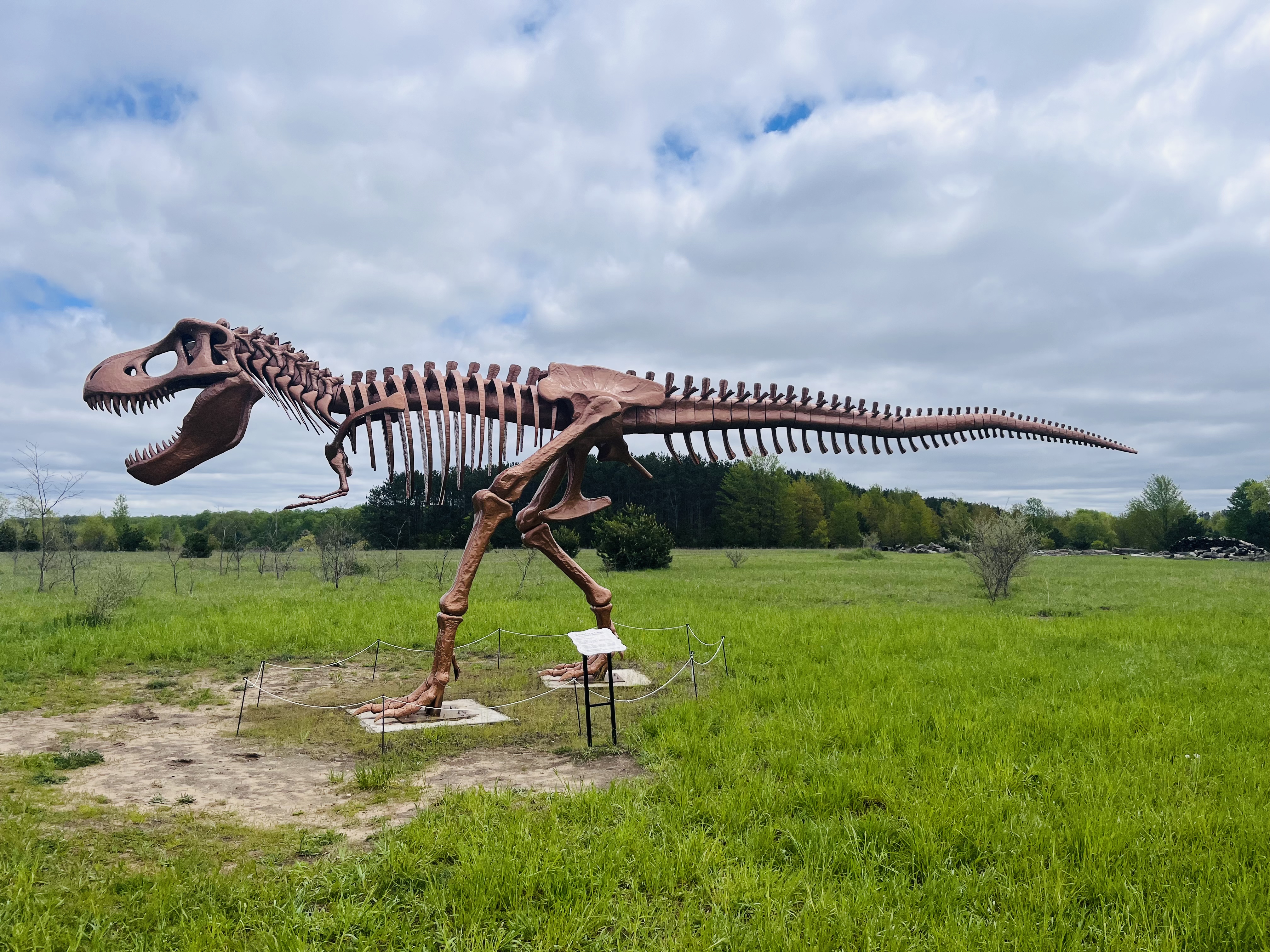 2025-05-19 14.34.14-1