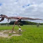 2025-05-19 14.34.14-1