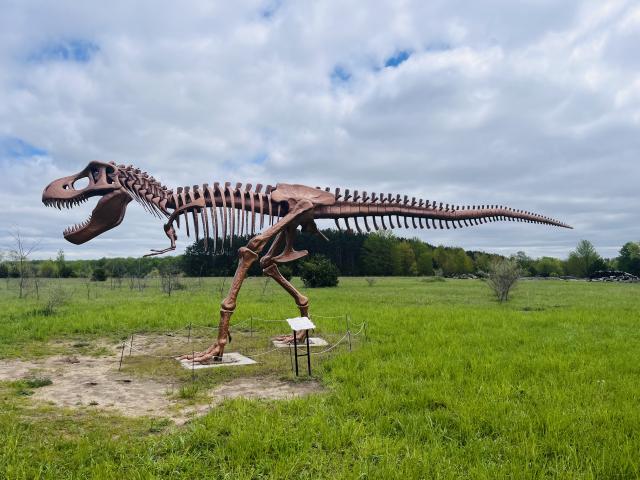 2025-05-19 14.34.14-1