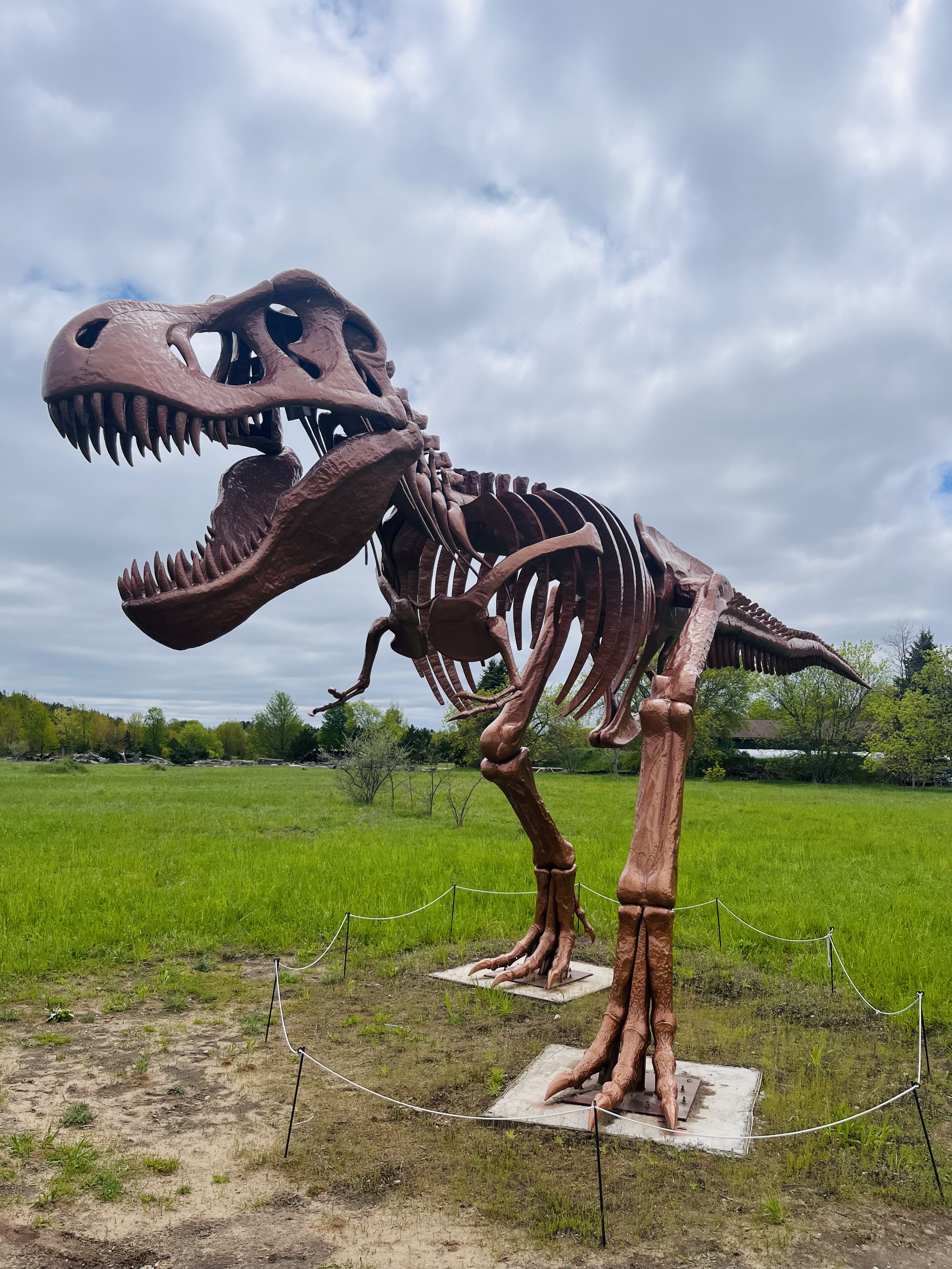 2025-05-19 14.35.13-1