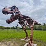 2025-05-19 14.35.13-1