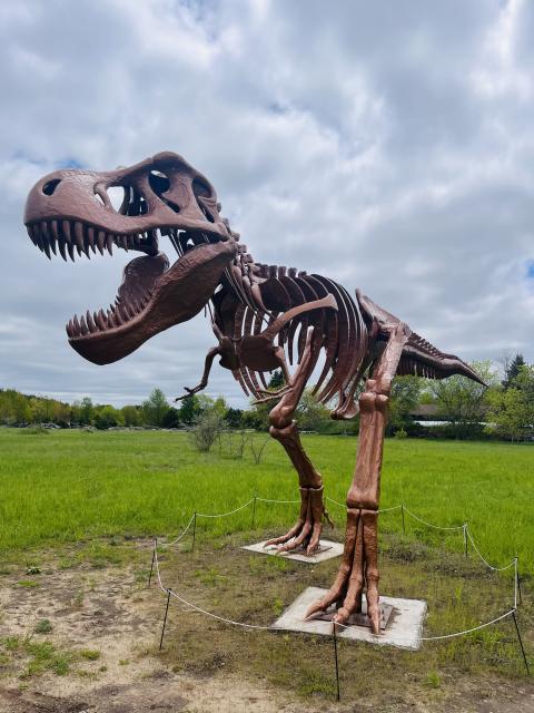 2025-05-19 14.35.13-1