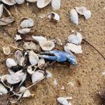 2025-05-20 08.59.12-1