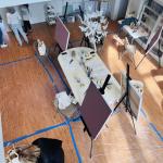 2025-05-20 09.43.25-1