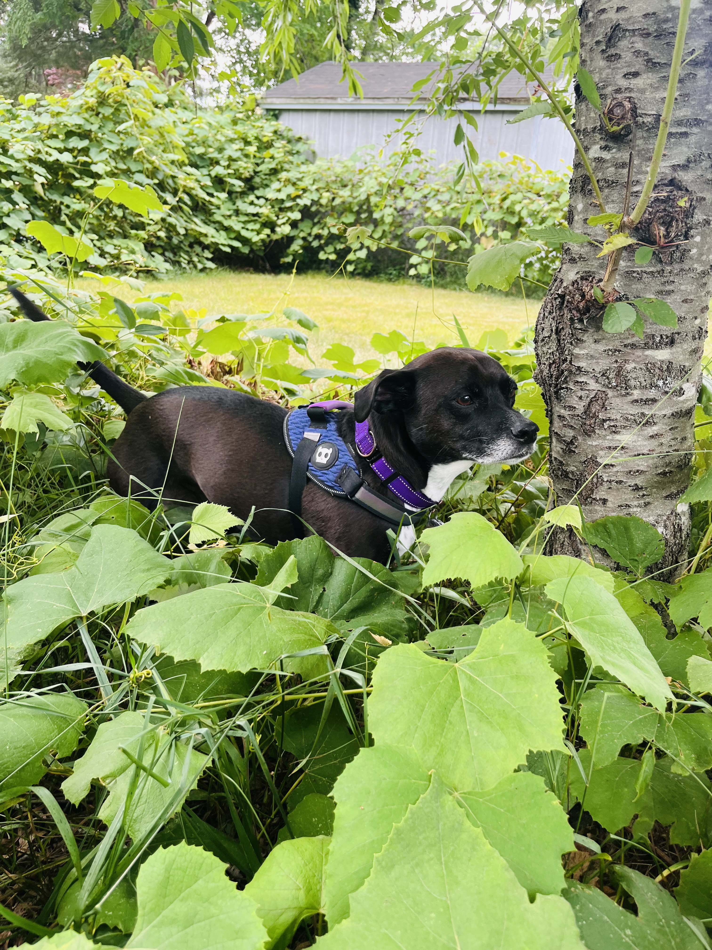 2025-07-05 16.32.09-1