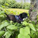 2025-07-05 16.32.09-1