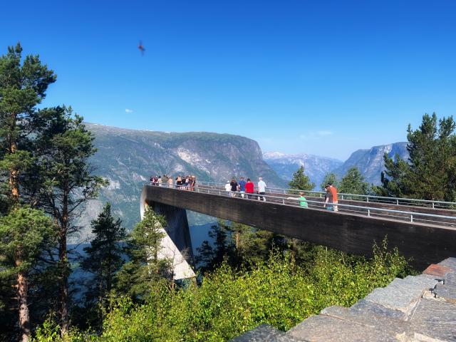 2025-07-17 10.22.24-1