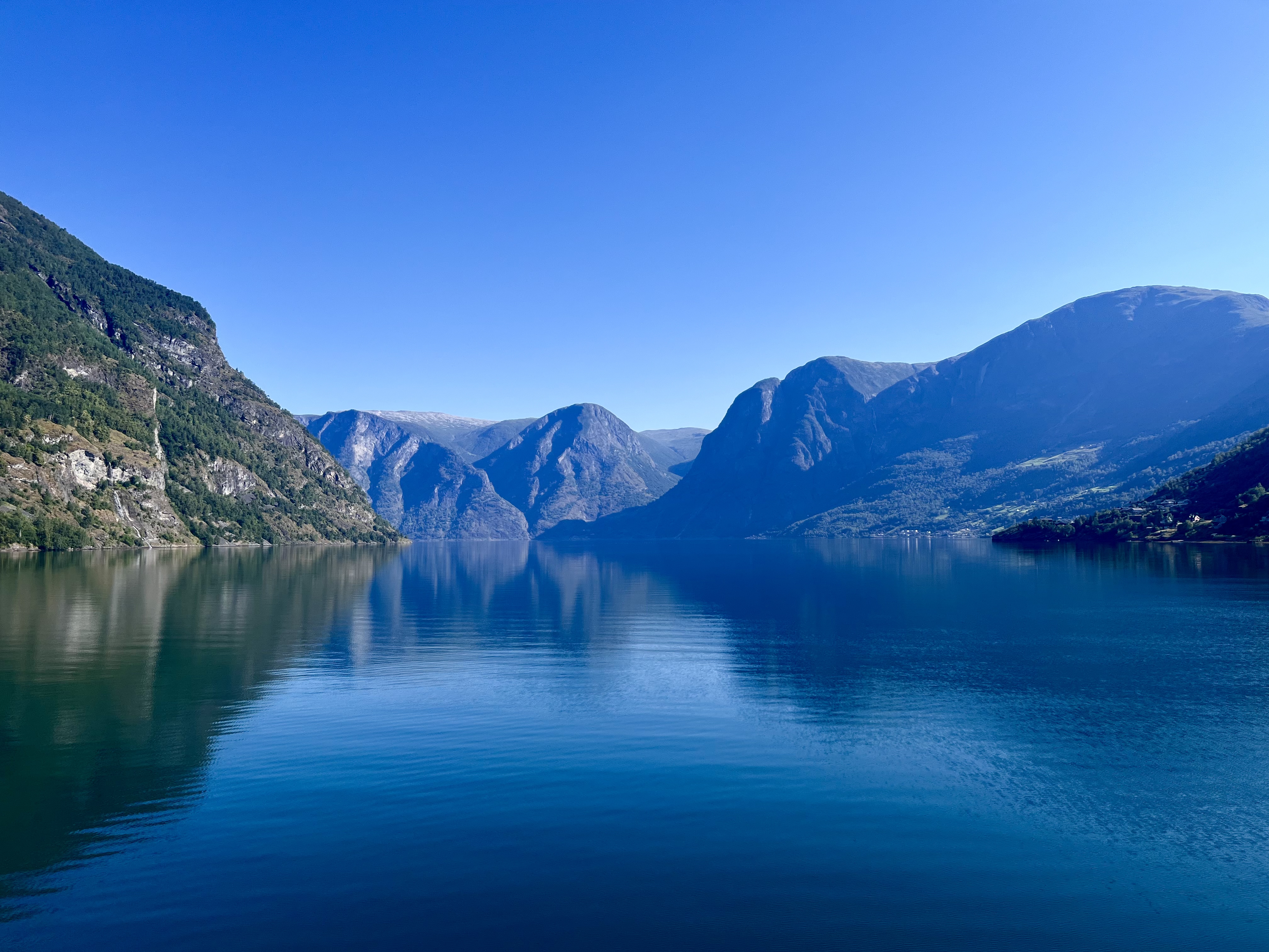 2025-07-18 09.45.24-1