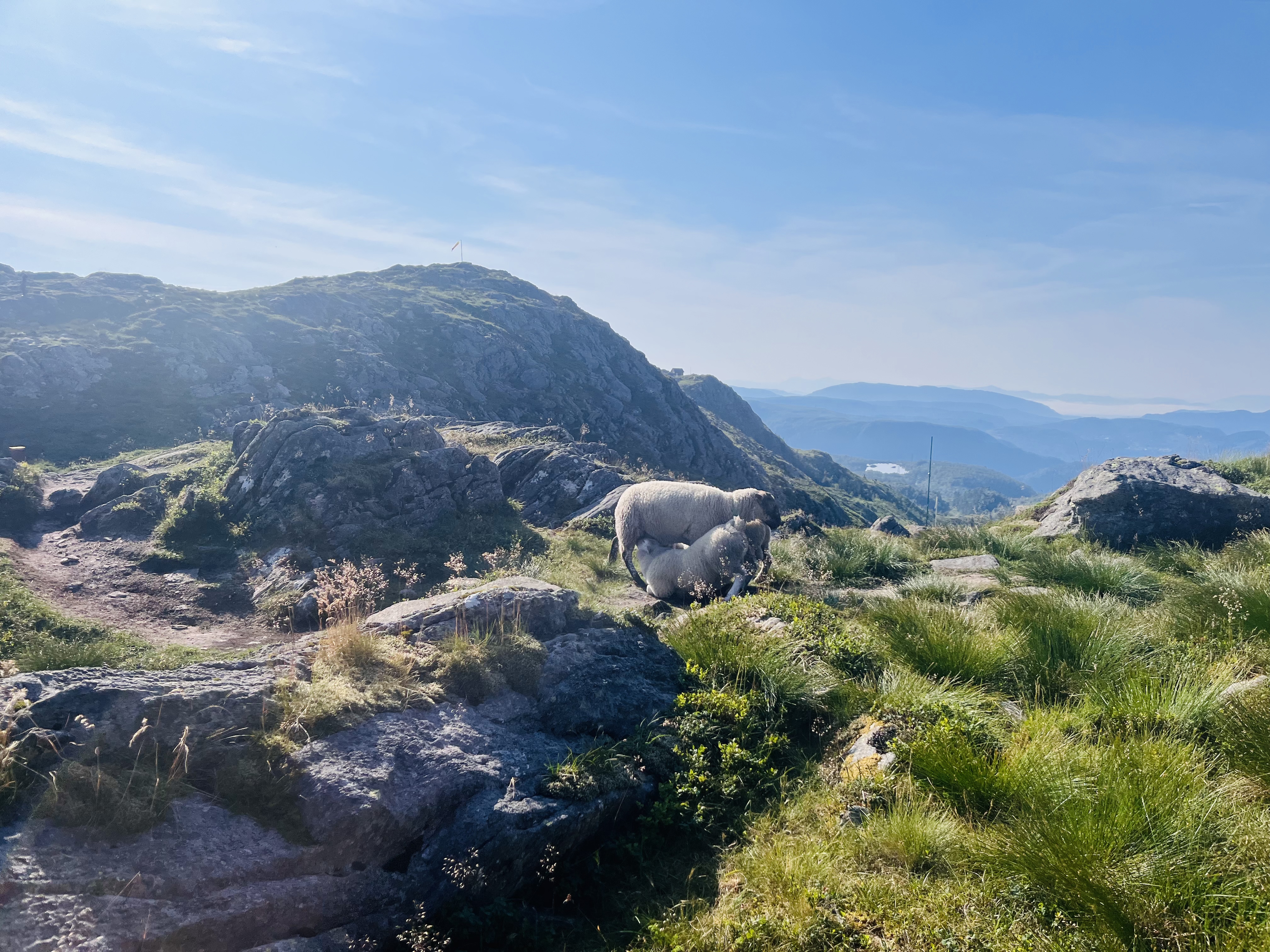 2025-07-19 09.44.09-1