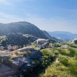 2025-07-19 09.44.09-1