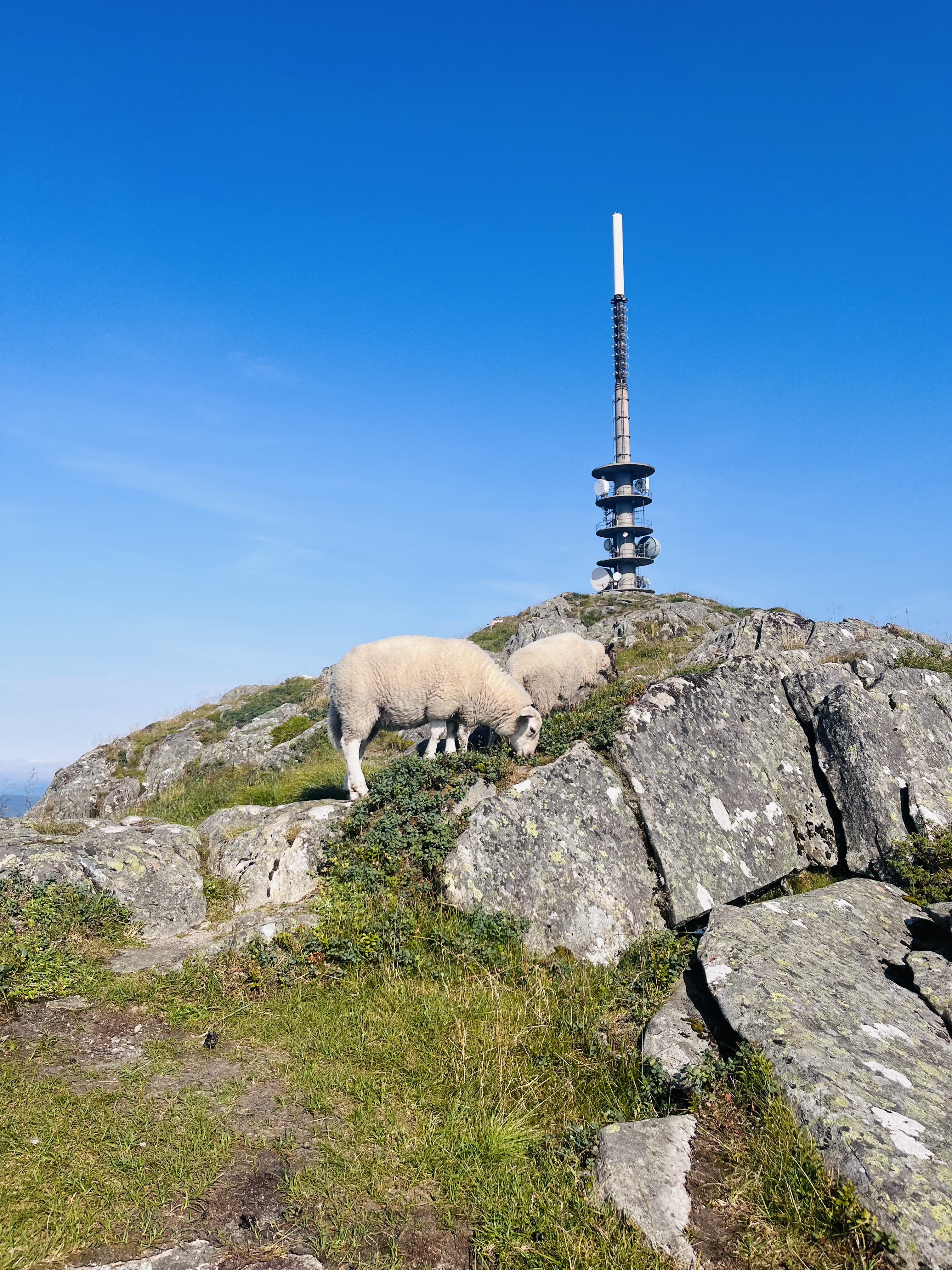 2025-07-19 09.48.00-1