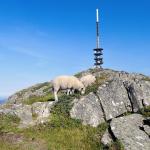 2025-07-19 09.48.00-1