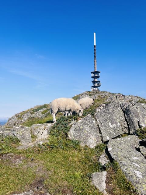 2025-07-19 09.48.00-1